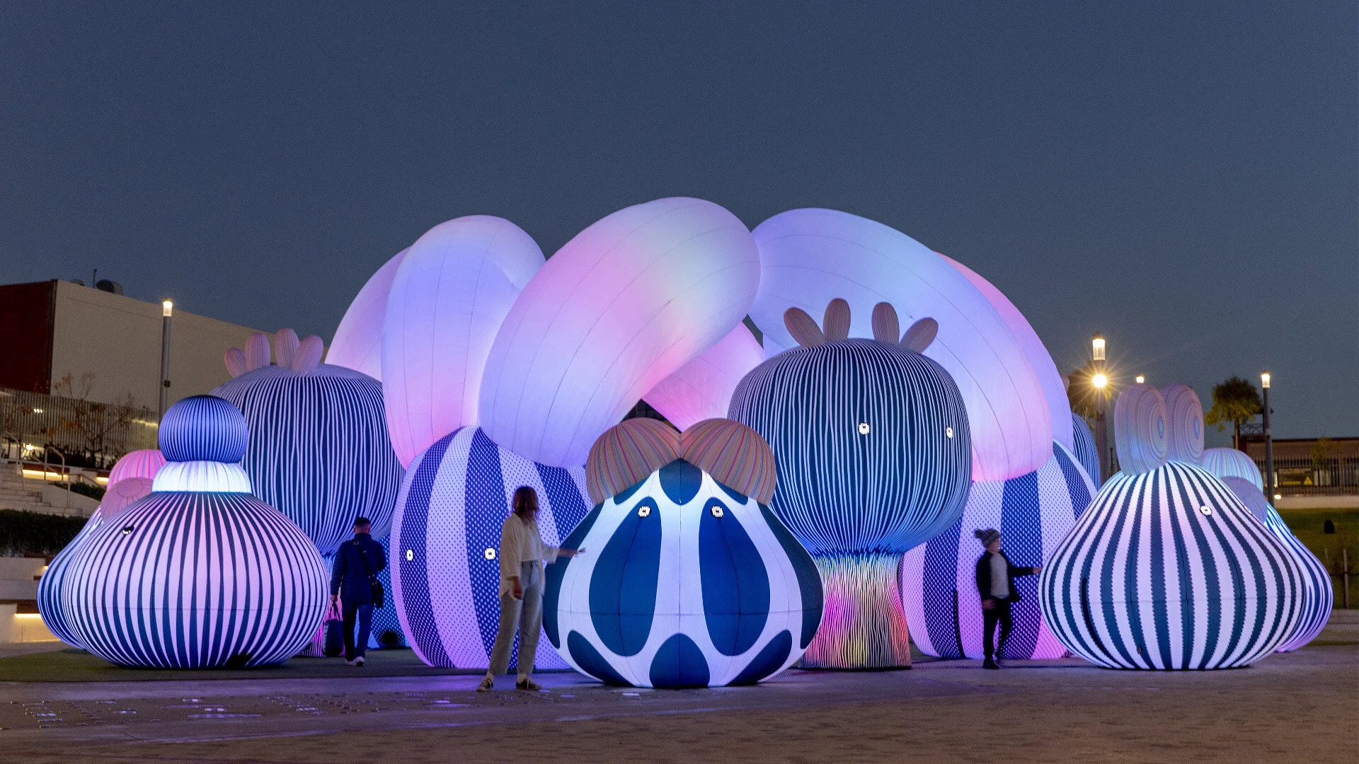 アート・デザイン・音楽 Interactive Installation Art & Design 81OAS5fMi2L._UF1000,1000_QL80_.jpg
